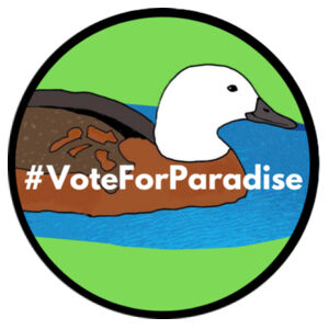 Paradise Shelduck Coaster Design